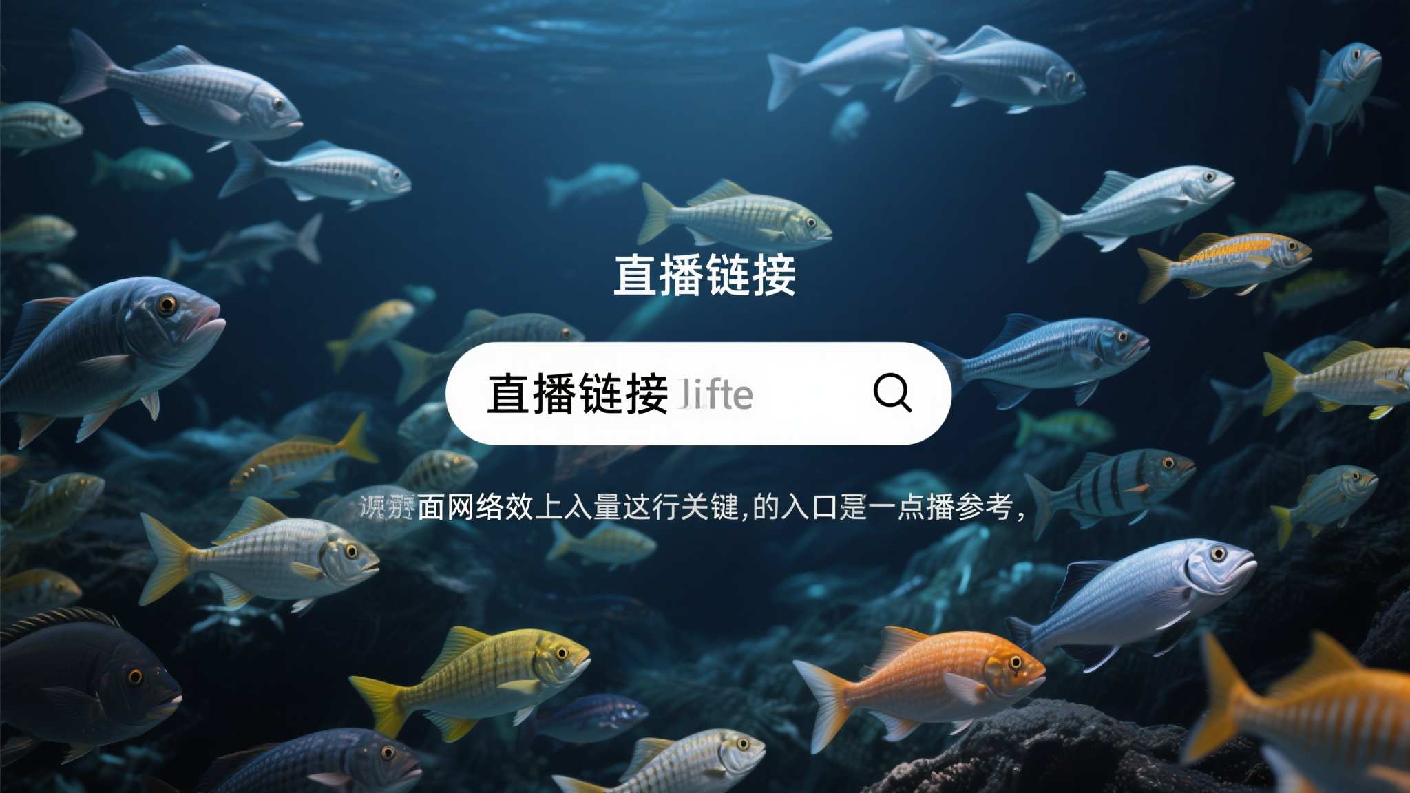 世界杯直播额-服务中心